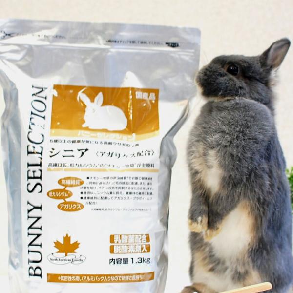 イースター バニーセレクション シニア 1.3kg ペレット うさぎ ペット　餌