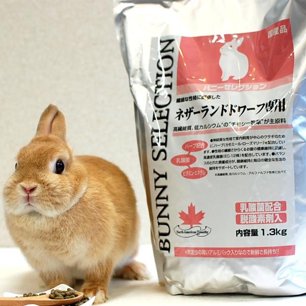 イースター バニーセレクション ネザーランドドワーフ専用 1.3kg ペレット うさぎ ペット 餌