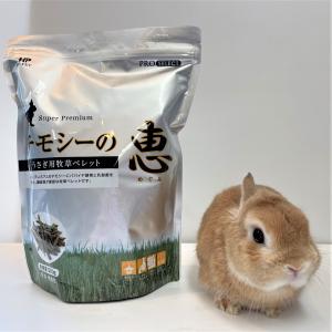 ウーリー ワイルドイタリアン 400g 「無選別」 : うさぎ専門店の食彩