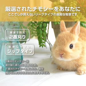 ウーリーのセレクト牧草「2番刈りティモシー」ア...の詳細画像3