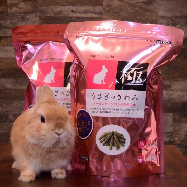ハイペット うさぎのきわみ 850g×2個　【送料無料】【メーカー値上げ】 うさぎ ペレット ペット