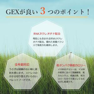 【ジェックス】 プレミアムフード2.2kg ペ...の詳細画像2