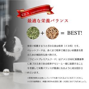 【ジェックス】 プレミアムフード2.2kg ペ...の詳細画像3