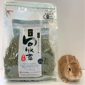 ウーリー ワイルドイタリアン(ミディアムソフト)180g 「無選別 ウーリー ワイルドイタリアン(ミディアムソフト)180g 「無選別