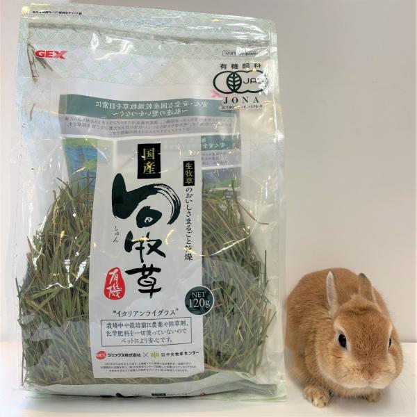 GEX 旬牧草　イタリアンライグラス　120g