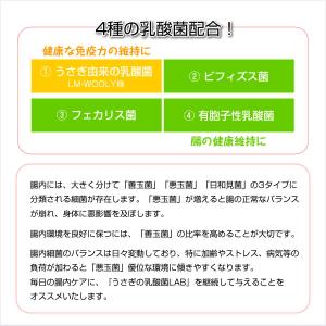 ウーリー うさぎの乳酸菌 LAB(ラボ) うさ...の詳細画像5