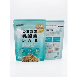 (10001002)ウーリー うさぎの乳酸菌 ...の詳細画像1