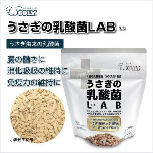 ウーリー うさぎの乳酸菌 LAB(ラボ) うさ...の詳細画像1