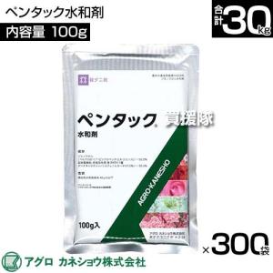 (P5倍)(クーポンで最大1500円OFF)(...の詳細画像1