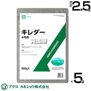 3000枚入) シンワ 高品質 フラワースリーブ 多孔 花袋 12号 #25 400
