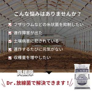 (法人限定)アルム農材 Dr.放線菌 20L(...の詳細画像2