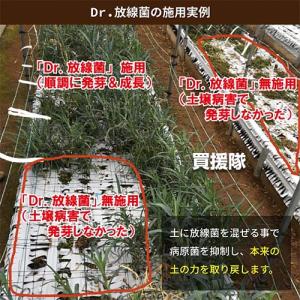 (法人限定)アルム農材 Dr.放線菌 20L(...の詳細画像3