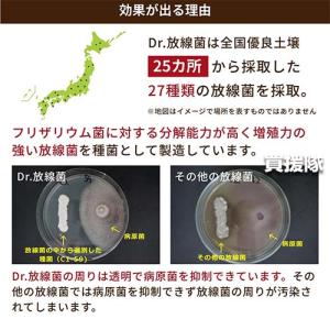 (法人限定)アルム農材 Dr.放線菌 20L(...の詳細画像4