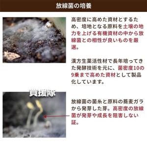 (法人限定)アルム農材 Dr.放線菌 20L(...の詳細画像5
