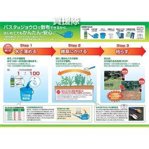 (最大1000円OFFクーポン)バスタ 除草剤...の詳細画像2