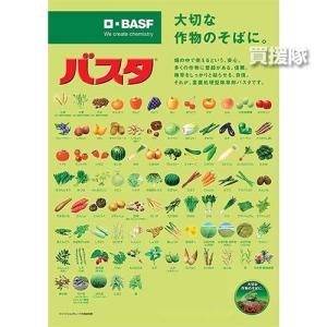 (最大1000円OFFクーポン)バスタ 除草剤...の詳細画像3
