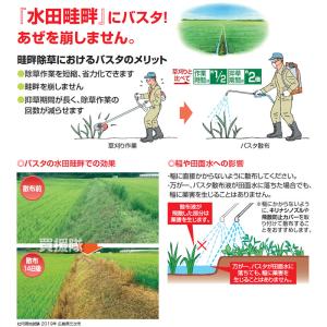 (法人限定)BASF バスタ液剤 20L 5本セットの詳細画像4