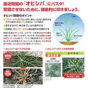 (法人限定)BASF バスタ液剤 20L 5本セットの詳細画像5