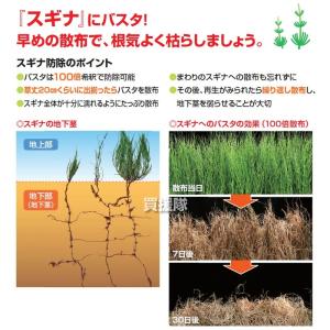 (法人限定)BASF バスタ液剤 100L 除...の詳細画像4