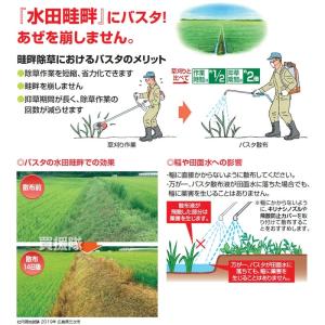 (法人限定)BASF バスタ液剤 100L 除...の詳細画像5