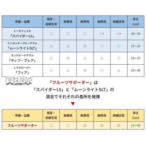 タキイ種苗 緑肥 種 フルーツサポーター 1k...の詳細画像2