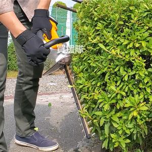 (P5倍)(クーポンで1000円OFF)(3月...の詳細画像1