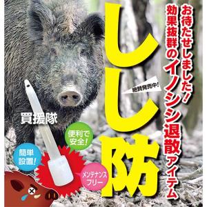 (クーポンで最大1000円OFF)(法人限定)...の詳細画像3
