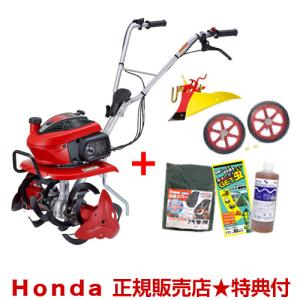 クリーンボックス スリムエイト 8足用 DM-SLT ブルー (15分消灯