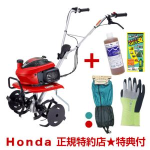 その他 【値下げしました！】【埼玉/上尾発】【近場の配達可能】【/美 