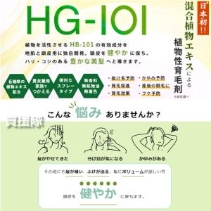 (P5倍)(クーポンで1000円OFF)フロー...の詳細画像3