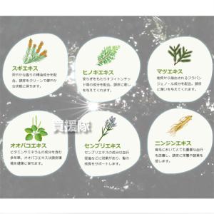 (P5倍)(クーポンで1000円OFF)フロー...の詳細画像5