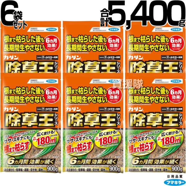 （最大1000円OFFクーポン）フマキラー カダン 除草王 オールキラー 粒剤 900g 6袋セット