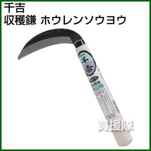 千吉・収穫鎌・ホウレンソウ用｜truetools