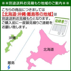 (最大1000円OFFクーポン)(法人限定)昭...の詳細画像4