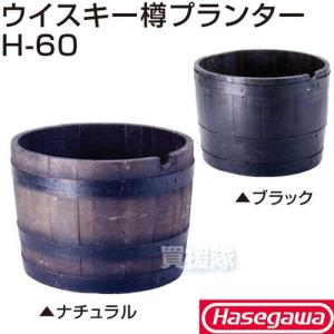 (P5倍)(毎月10日は買援隊の日)(法人限定)...の商品画像