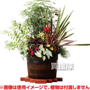 (P5倍)(毎月10日は買援隊の日)(法人限定...の詳細画像3