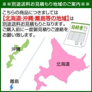 (P5倍)(毎月10日は買援隊の日)(法人限定...の詳細画像4