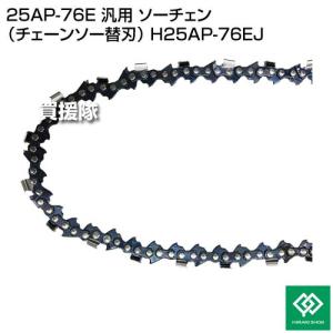 (P5倍)(22日限定)ヒラキ 25AP-76...の詳細画像1