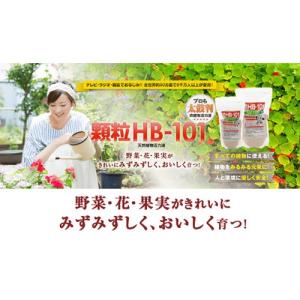(P5倍)(最大1000円OFFクーポン)顆粒...の詳細画像1