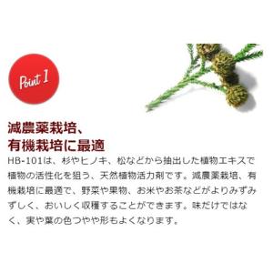 (P5倍)(最大1000円OFFクーポン)顆粒...の詳細画像5