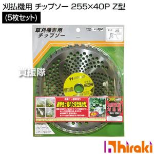 (P5倍)(クーポンで1000円OFF)(5日限...の商品画像
