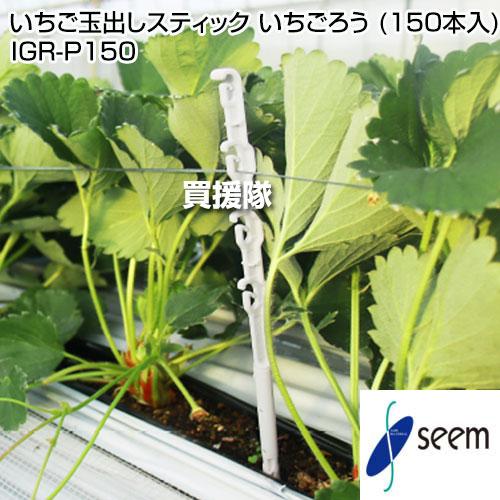 シーム いちご玉出しスティック いちごろう （150本入） IGR-P150