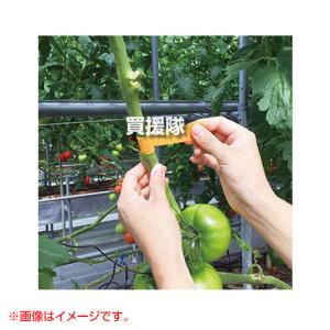 クラレトレーディング トマトの包帯 25mm×5m 4巻セット 不織布テープ オレンジ KRR-015929-4S｜truetools
