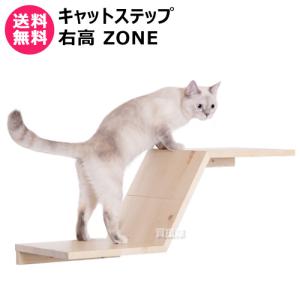 MYZOO キャットステップ Sサイズ LACK （2枚入） : ヒラキショウジ
