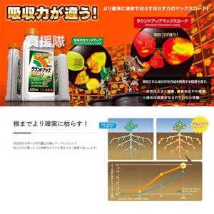 ラウンドアップ 5.5L マックスロード 原液...の詳細画像1
