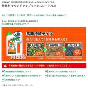 ラウンドアップマックスロードALIII 4.5...の詳細画像1