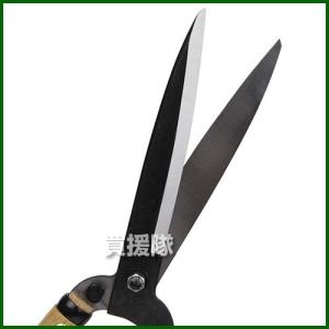 (P5倍)(クーポン8枚で合計10000円OF...の詳細画像3