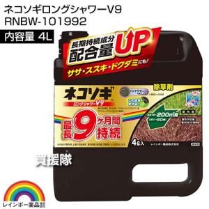 (P5倍)(クーポンで最大1500円OFF)レ...の詳細画像1