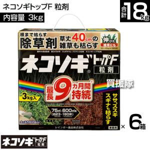 (P5倍)(クーポンで1000円OFF)(19...の詳細画像1