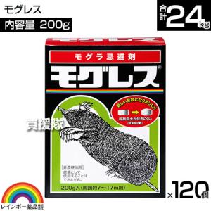 (P5倍)(毎月10日は買援隊の日)レインボー...の詳細画像1
